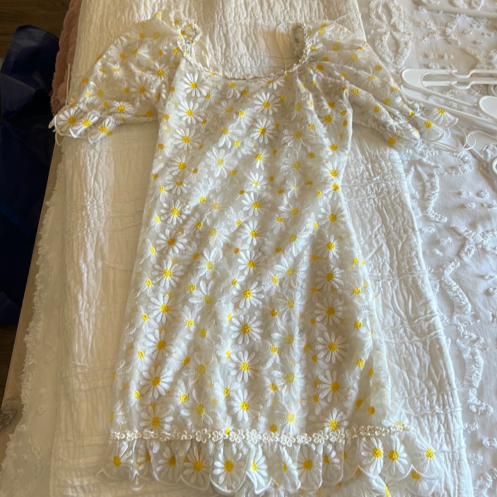 COPY - For Love and Lemons Daisy dress With slip insert